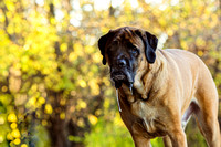 20201107-untitled-3937-Edit